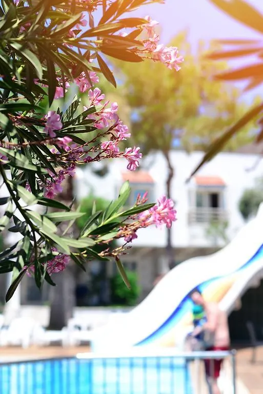 Delfi Hotel Spa & Wellness Center Bodrum 2*,