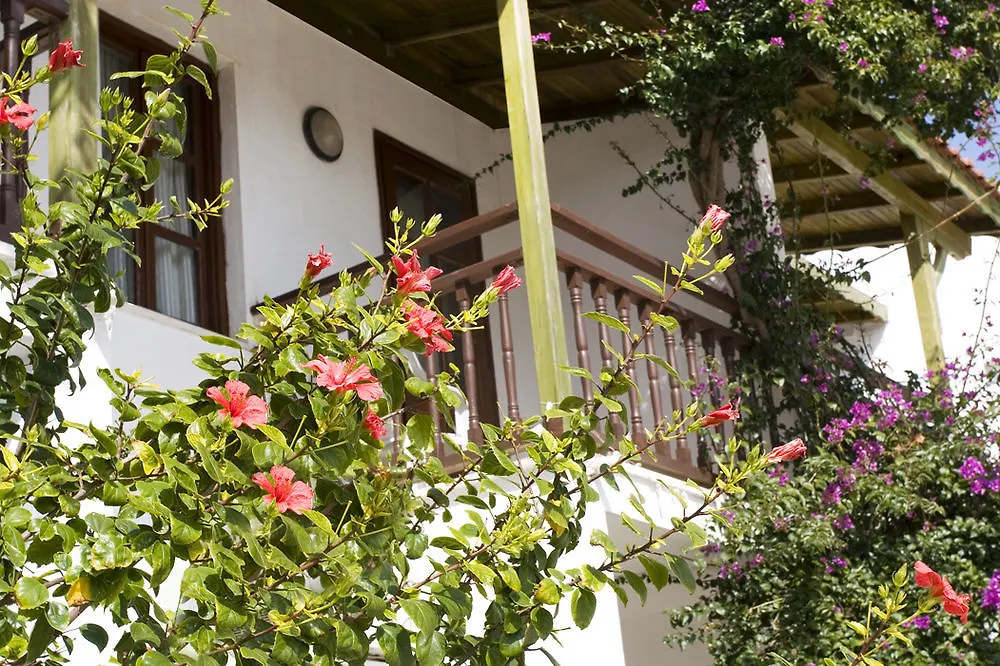 Delfi Hotel Spa & Wellness Center Bodrum Türkiye